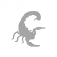 Offers cheap Scorpion Paddel